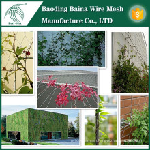 decorative wall fence/mesh balcony fencing/green plant wall climbing(China Supplier)